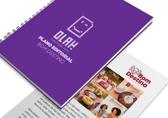 imagem da revista com título Plano Editorial