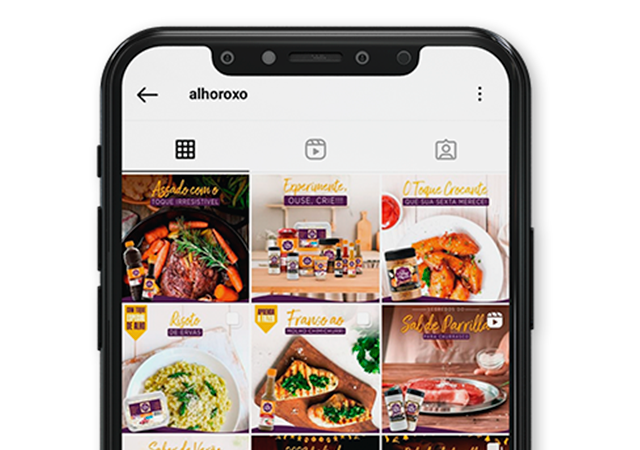 imagem de posts criados para a Casa do Alho Roxo