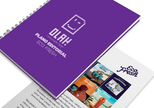 imagem da revista com título Plano Editorial